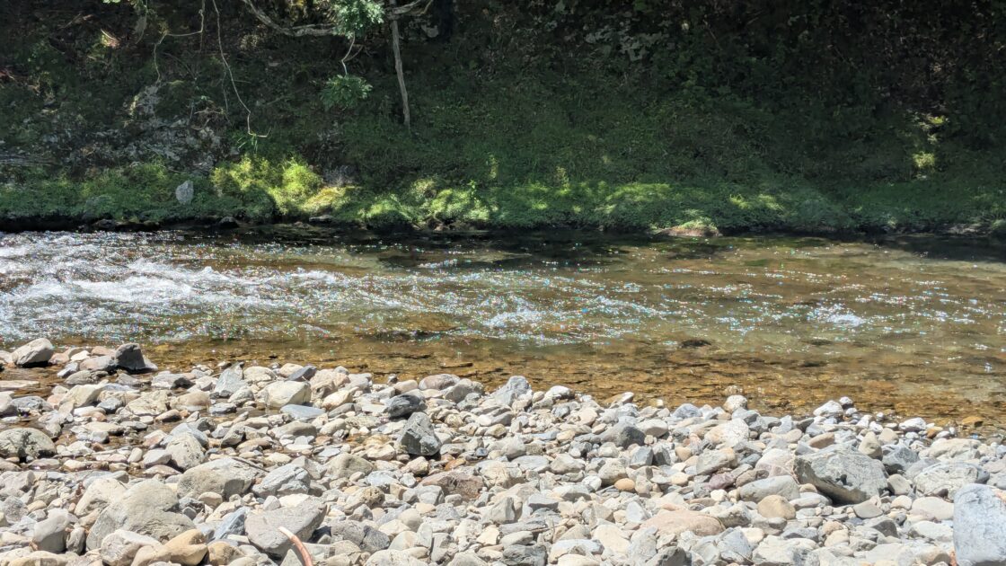 その日の釣果があった流れの写真