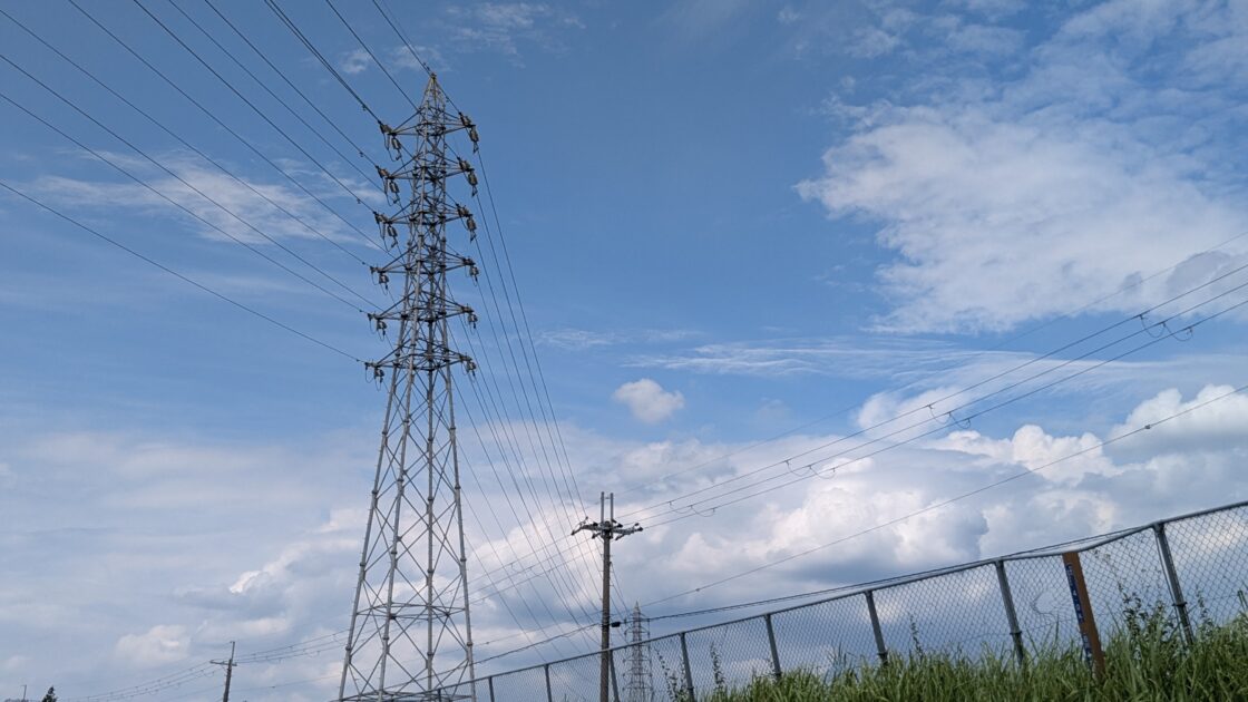 河川敷から見上げる夏空の画像