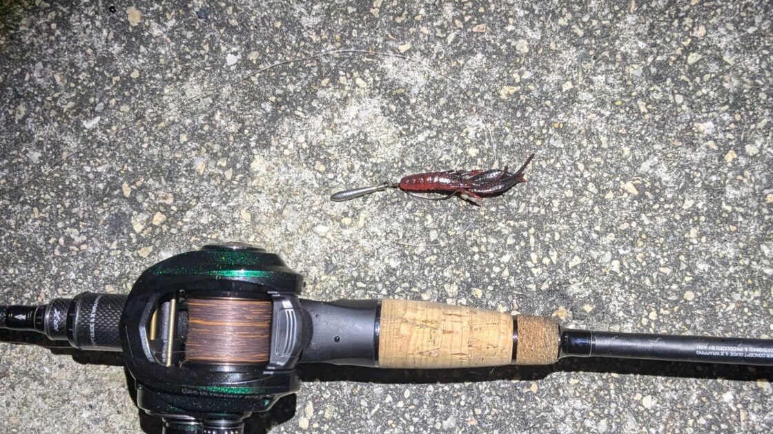 当日使用タックルの画像