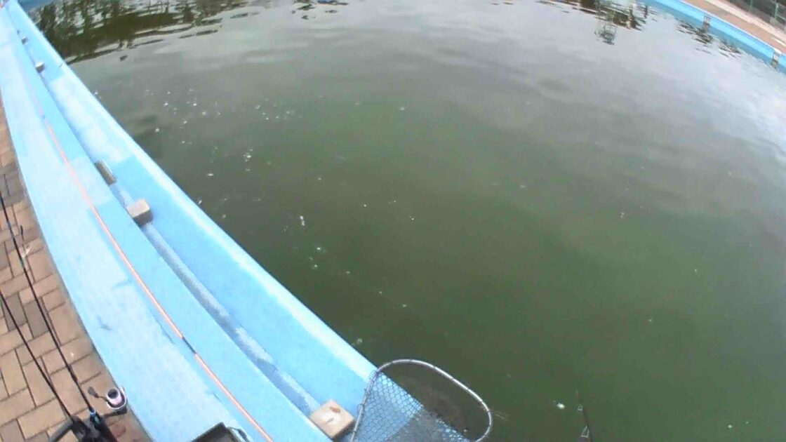 当日(2026/01/26)のプールの様子の画像